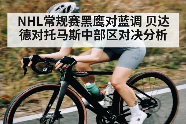 NHL常规赛黑鹰对蓝调 贝达德对托马斯中部区对决分析